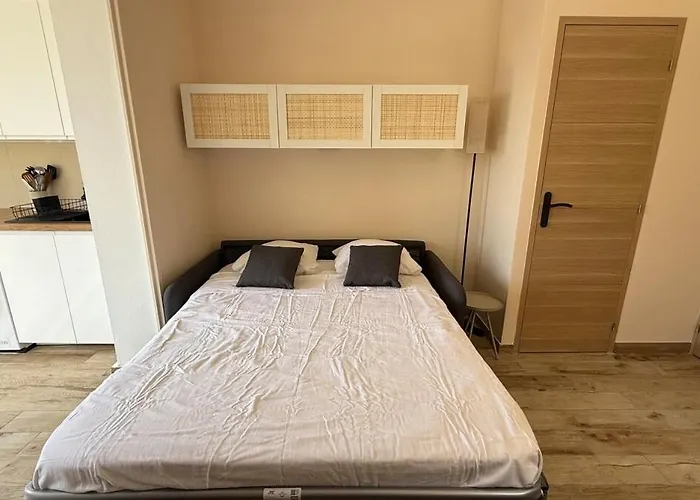 Apartment Avec Jardin Parking Wifi Climatisation